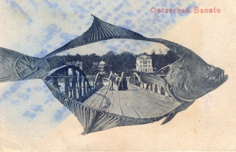 Eine Flunder als Seebrückenmotiv.