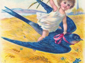 Pfingstgrüße mit Schwalbe