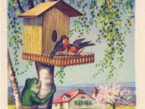 Frosch kommt zum Pfingstbesuch